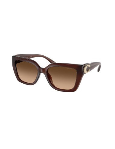 Coach Cw202 8408F Sunglasses Amélioration de cerveau avec