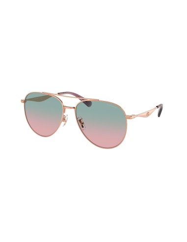 Coach Cw193 7169 Sunglasses Vous souhaitez 