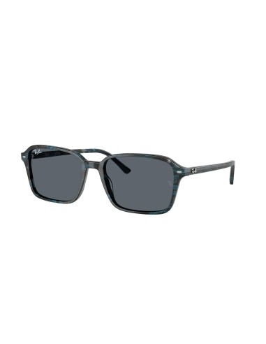 Ray-Ban Raimond 2231 Sunglasses acheter en ligne