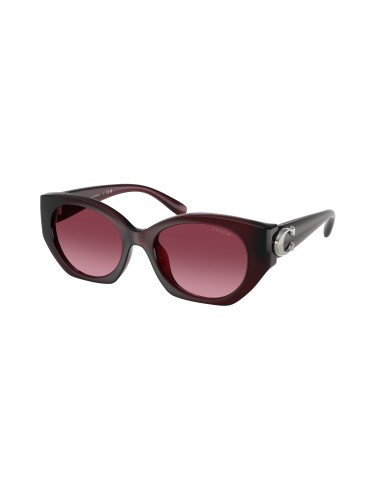 Coach Cw194 8407U Sunglasses Découvrez la collection