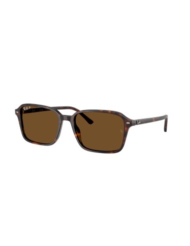 Ray-Ban Raimond 2231F Sunglasses offre 