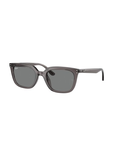 Ray-Ban 4439D Sunglasses destockage