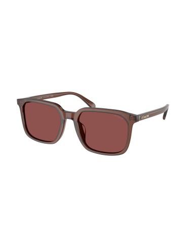 Coach Cw405 8411U Sunglasses le des métaux précieux