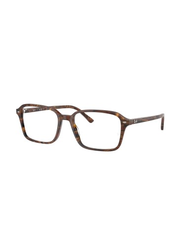 Ray-Ban Raimond 5431F Eyeglasses en ligne des produits 