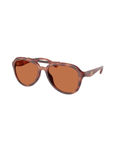 Coach Cw183 8406U Sunglasses de votre