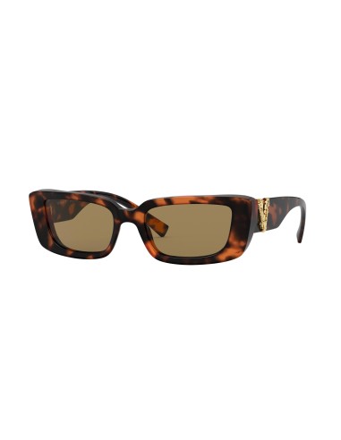 Versace 4382 Sunglasses Comparez plus de prix