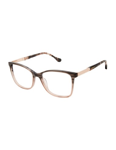 Buffalo by David Bitton BW016 Eyeglasses la colonne vertébrale