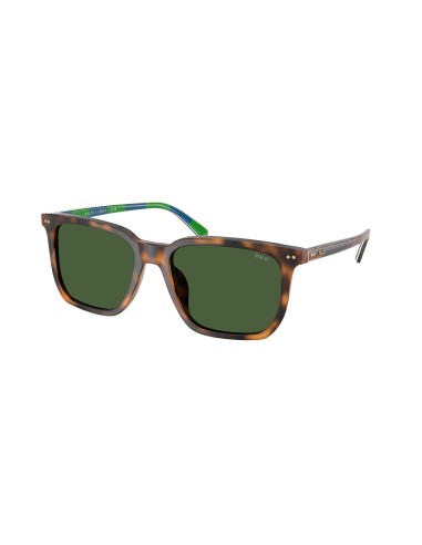 Polo 4224F Sunglasses chez Cornerstreet bien 