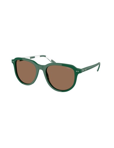 Polo 4225 Sunglasses online