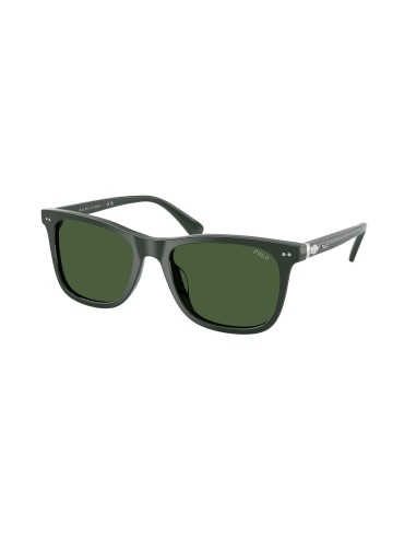 Polo 4220F Sunglasses 50-70% off 