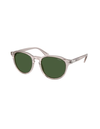 Polo 4221F Sunglasses 2023