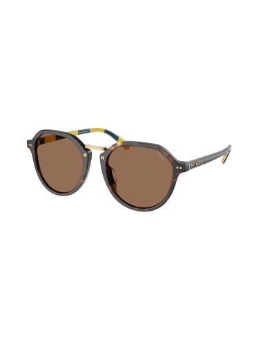 Polo 4223U Sunglasses Voir les baskets