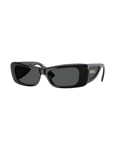 Versace 4481 Sunglasses sélection de produits