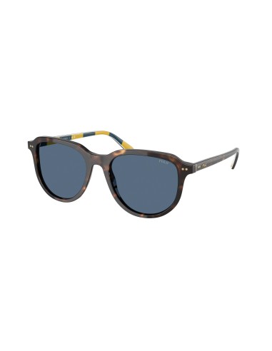 Polo 4225F Sunglasses Dans la société mordern