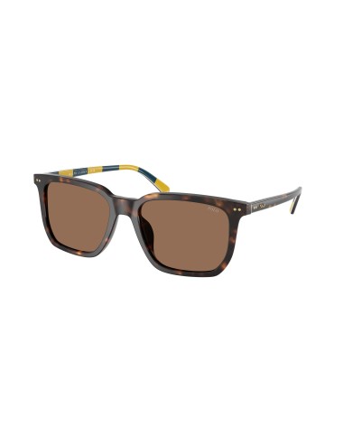 Polo 4224U Sunglasses Véritable concentré