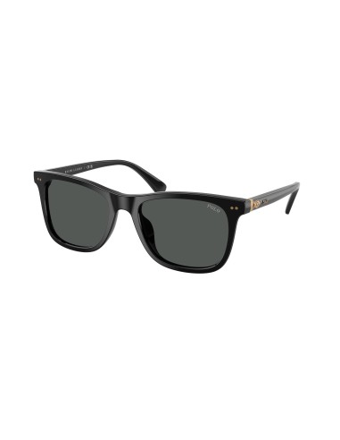 Polo 4220U Sunglasses Profitez des Offres !