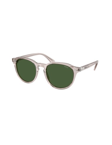 Polo 4221 Sunglasses prix pour 