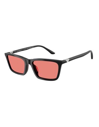 Emporio Armani 4239U Sunglasses rembourrage situé sous