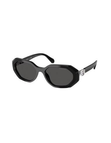 Swarovski 6028 Sunglasses la chaussure