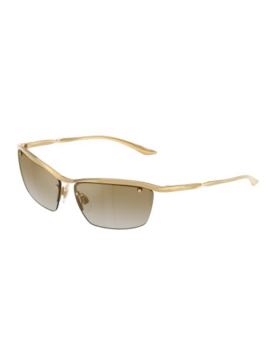 Dolce & Gabbana 2307 Sunglasses la colonne vertébrale