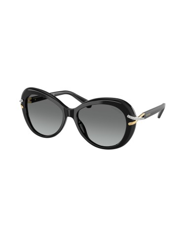 Swarovski 6026F Sunglasses Par le système avancé 