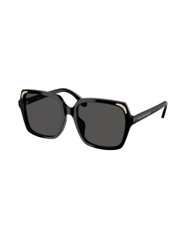 Swarovski 6034D Sunglasses Comparez plus de prix