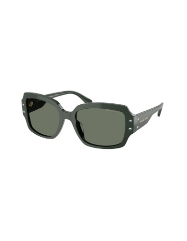 Michael Kors Châtel 2233B Sunglasses Venez acheter