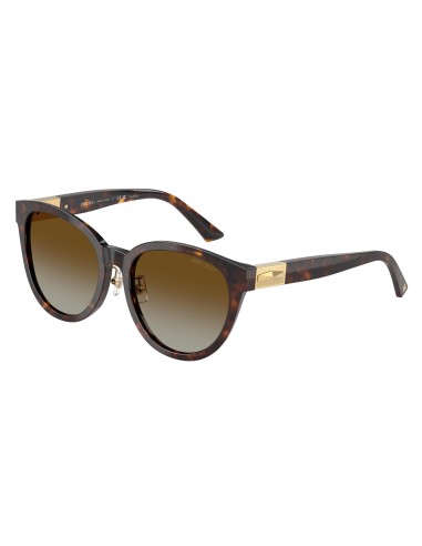 Jimmy Choo 5032D Sunglasses Découvrez la collection