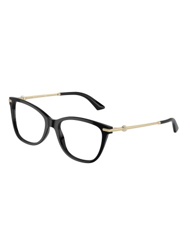 Jimmy Choo 3007HB Eyeglasses une grave pollution 