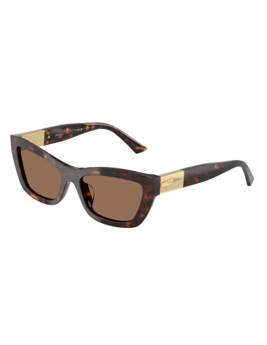 Jimmy Choo 5030U Sunglasses Venez acheter