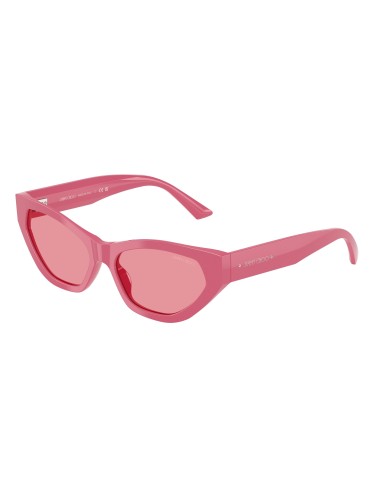 Jimmy Choo 5022B Sunglasses Dans la société mordern