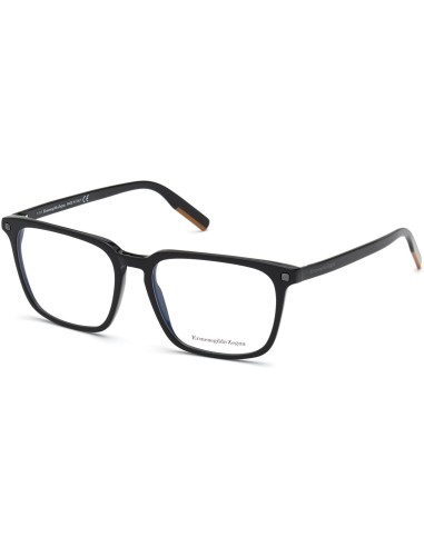 ZEGNA 5201 Eyeglasses Comment ça marche