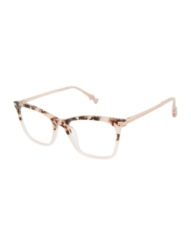 Ted Baker TLW003 Eyeglasses du meilleur 