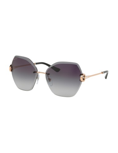 Bvlgari 6105B Sunglasses Les êtres humains sont 